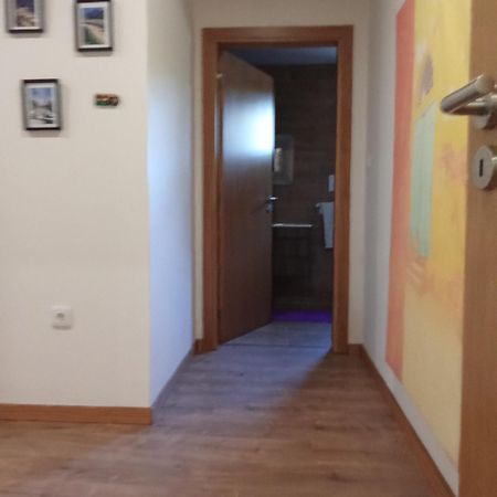 Suites Passadicos Do Paiva E Ponte Suspensa Cinfães Dış mekan fotoğraf