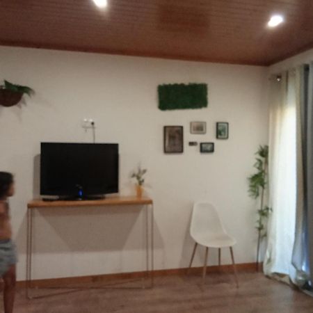Suites Passadicos Do Paiva E Ponte Suspensa Cinfães Dış mekan fotoğraf
